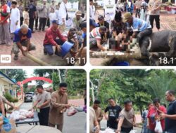 Kapolres Langkat Serahkan 12 Ekor Sapi dan 5 Ekor Kambing Hewan Kurban di Momen Idul Adha 1446 H