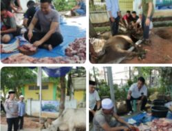 Polres Sergai Bagikan Daging Hewan Qurban di Hari Raya Idul Adha 1446 H / 2025 M