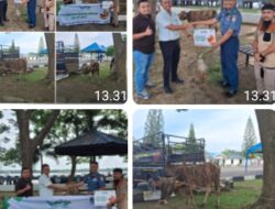 BNCT dan Lantamal I Belawan Salurkan Hewan Kurban Bagi Masyarakat dan Pekerja Harian