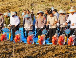 Tanam Jagung Serentak, Jenderal Sigit : Polri Siap Kawal Kedaulatan Pangan!