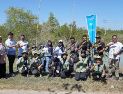 Pelindo Regional 1Tanam Mangrove di Pesisir Kabupaten Batu Bara Dalam Rangka Peringati Hari Mangrove Sedunia