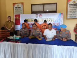 Polres Padang Lawas Pres Release Ungkap Kasus Narkotika Gol 1 Jenis Tanaman Ganja Sebanyak 44 Kg