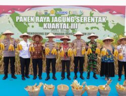 Panen Raya Jagung Kuartal III: Polda Sumut Komitmen Wujudkan Swasembada Pangan