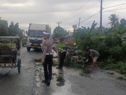 Apresiasi Masyarakat, Tindakan Polres Sergai Gerak Cepat Jaga Situasi Lalu Lintas Bersihkan Pohon Tumbang
