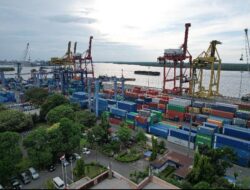 PT PMT Catat Kenaikan Arus Peti Kemas 9 Persen, Sinyal Pulihnya Sektor Logistik Sumut