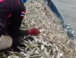 Pelindo Regional 1 Bawa Harapan Baru Bagi Nelayan Batu Bara