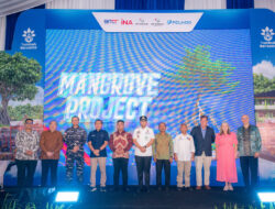 BNCT dan SPTP Kolaborasi Pulihkan Ekosistem Pesisir Lewat Penanaman Mangrove 22 Hektare dan Penangkaran Kepiting Bakau