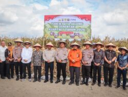 Polres Serdang Bedagai Ikut Panen Jagung Serentak Kuartal I 2026, Wakapolres dan Bupati Beri Penegasan Ketahanan Pangan