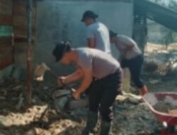 Brimob Polda Sumut Teruskan Dapur Lapangan dan Pembersihan Rumah Warga di Batang Toru