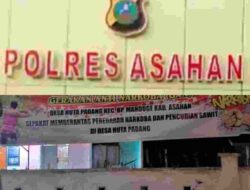 Ganas Pencurian Sawit di Mandoge! Aparat Dinilai Gagal, Dugaan Keterlibatan Oknum Menguat