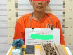 Polres Tapteng Ringkus ‘Kongo’, Pengedar Paket Lengkap Ganja dan Sabu di Lubuk Tukko