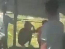 Viral! Peredaran Narkoba di Pantai Labu, Satres Narkoba Polresta Deli Serdang Gerak Cepat Bekuk Pelaku