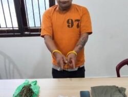 Simpan Sabu dan Ganja di Dua Lokasi, Petani di Karo Ditangkap Satresnarkoba