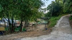 Diduga Informasi Bandar Narkoba di Kp Tempel Perdagangan, APH Diminta Turun Tangan